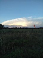 The Corryong Cup 2019