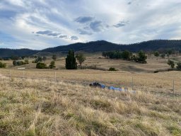 136061668_462904621384207_5243854637546743281_n